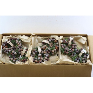 Wr Cypresse Cone 20cm