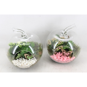 arr2 PL - Glazen appel 338/3 - roze/wit