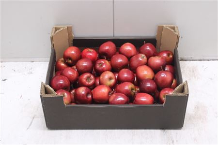 <h4>F-appels Rood Lak</h4>