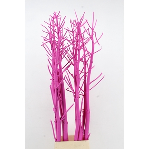 Ferule Kapstok Cerise