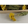 DF Achillea Parker Bs 80g