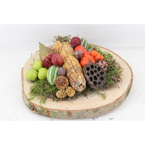 arr4 Sierfruit PP - Hout schijf x2