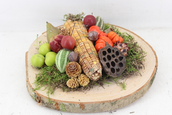 <h4>arr4 Sierfruit PP - Hout schijf x2</h4>