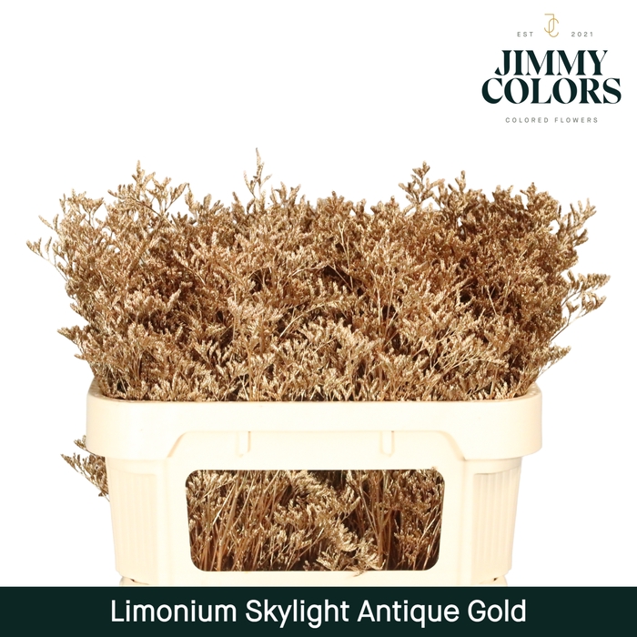 <h4>Limonium Skylight L70 Antique gold</h4>
