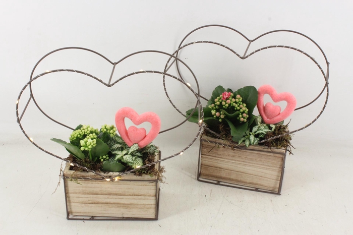 <h4>arr2 TD - Hout bak hart LED</h4>