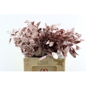 Euca Populus Berry Metal Red P Bunch