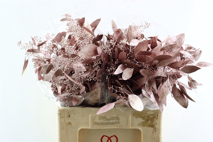 <h4>Euca Populus Berry Metal Red P Bunch</h4>