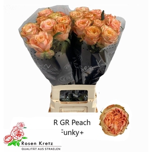 R GR PEACH FUNKY+