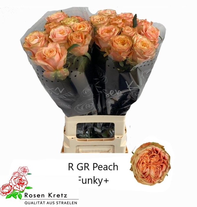 R GR PEACH FUNKY+