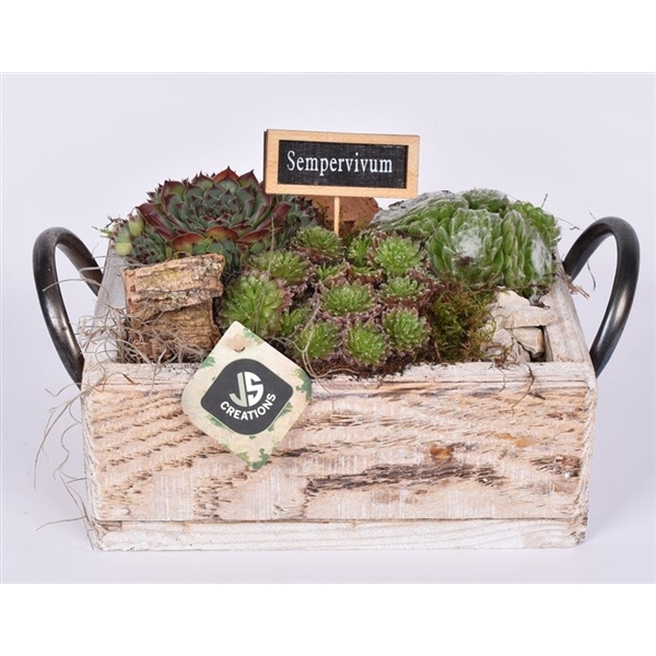 <h4>Hout rechthoek met handvat 22x17cm</h4>
