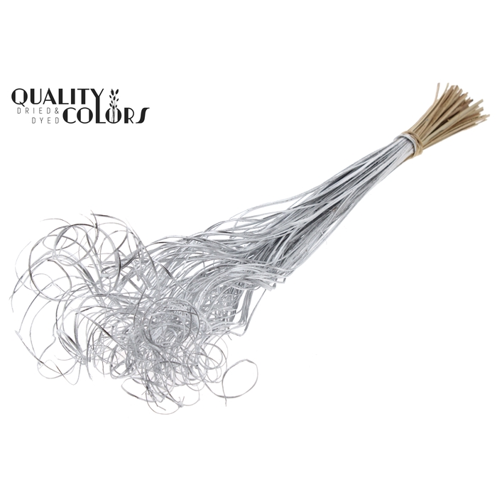 <h4>Palm Curly TT 100pc per bunch Silver</h4>