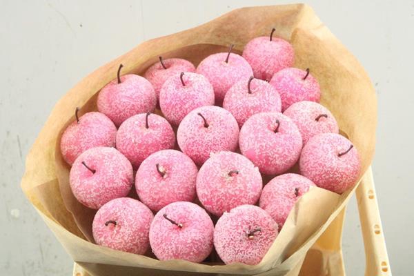 <h4>Droog Appel Ice Pink X20</h4>