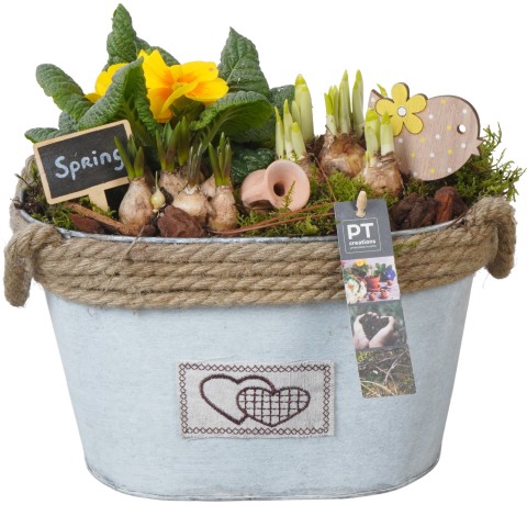 <h4>PTBM3031 Arrangementen Tuinplanten</h4>