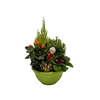 Buitenschaal arrangement GM3 Middel Lime Groen