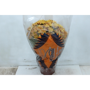CRISANTEMO BOLA BELGA P20 LARANJA