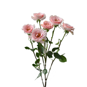 R TR BE LOVING Tessa