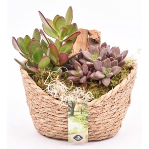 Jute mand ovaal 19x14cm