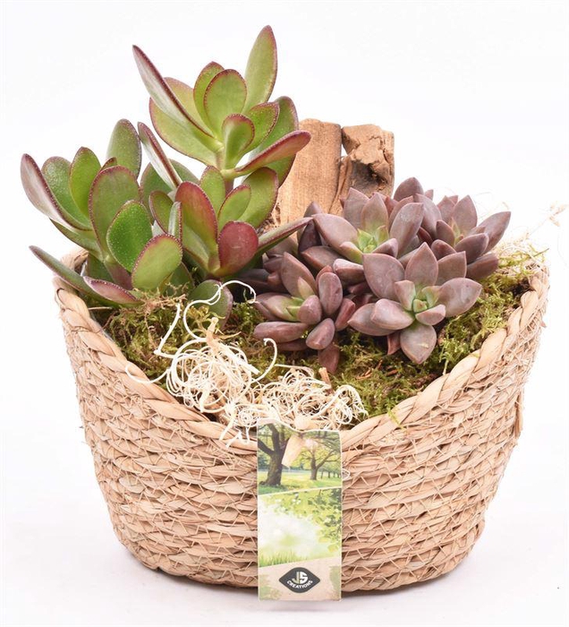 <h4>Jute mand ovaal 19x14cm</h4>