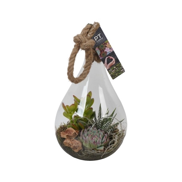 <h4>PTGIG2124 Arrangement Greens in glass in glazen druppelvorm</h4>
