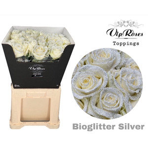 R GR AVALANCHE BIO GLITTER SILVER x40