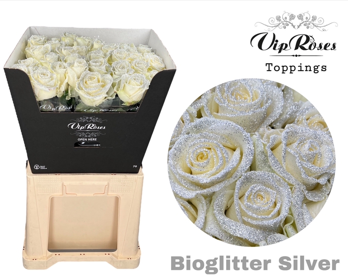 <h4>R GR AVALANCHE BIO GLITTER SILVER x40</h4>