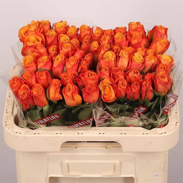 <h4>R GR CONFIDENTIAL</h4>