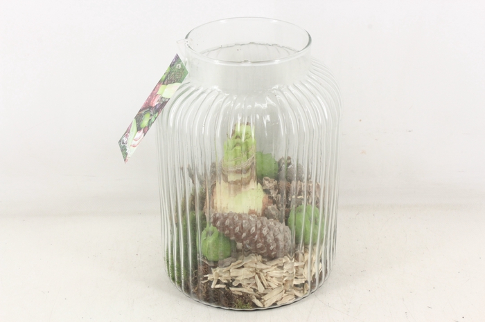 <h4>arr4 Amaryllis MB - Ribbel vaas hoog 285/5</h4>