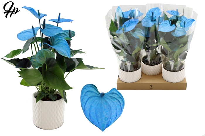 Anthurium 12 cm Make-Upz Blue in Diamond Pearl Travertine ceramics