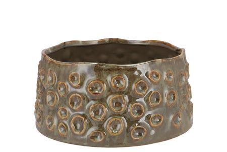 <h4>Alora Majestic Green Pot 20x20x10cm</h4>