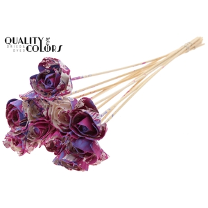 Shola Dear Holly 6cm on stem Multicolour Cerise/Milka