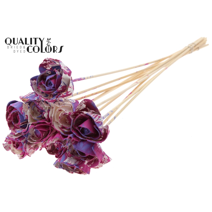 <h4>Shola Dear Holly 6cm on stem Multicolour Cerise/Milka</h4>