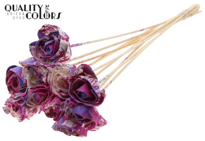 Shola Dear Holly 6cm on stem Multicolour Cerise/Milka
