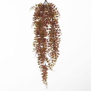 AF Hang Bush Fern x5 L79cm Bro