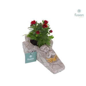 Cement Kruis S met Tuinplant