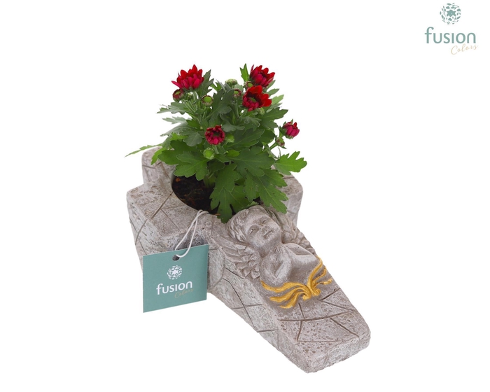 <h4>Cement Kruis S met Tuinplant</h4>