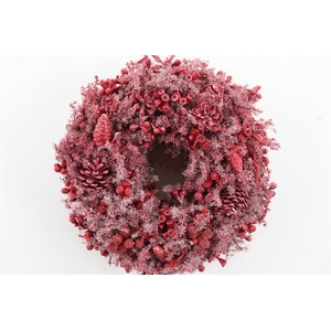 Wr Wax Mixed Fruit Red 35cm