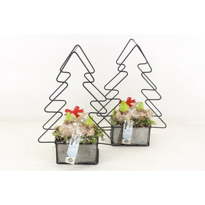 arr4 Hyacint JS - Tree frame 335/5