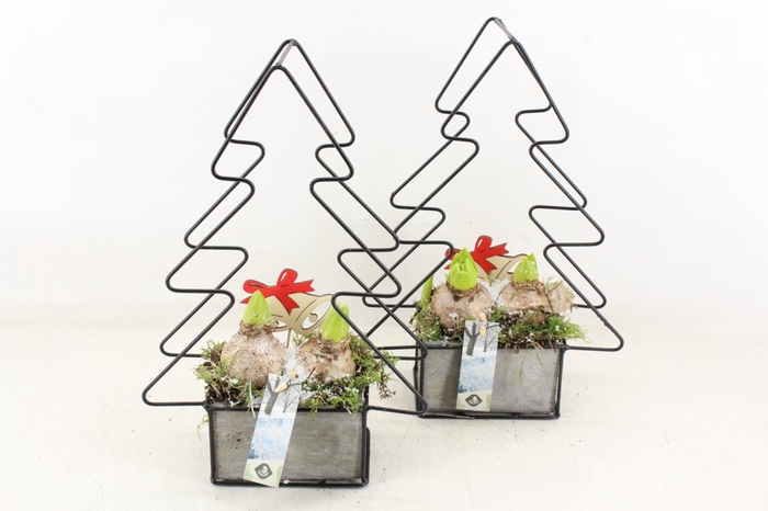 <h4>arr4 Hyacint JS - Tree frame 335/5</h4>