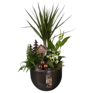 PTCHB9718 Arrangement Christmas Bronze in keramiek