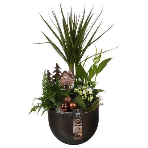<h4>PTCHB9718 Arrangement Christmas Bronze in keramiek</h4>