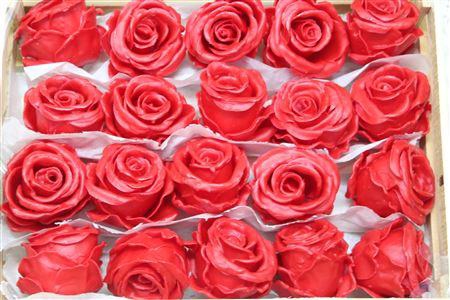 <h4>Wax Roos Klein Rood</h4>
