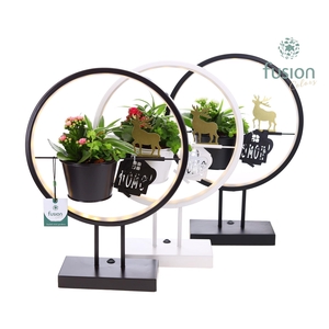 Metalen LED globe met rendier en Kerst Arrangement