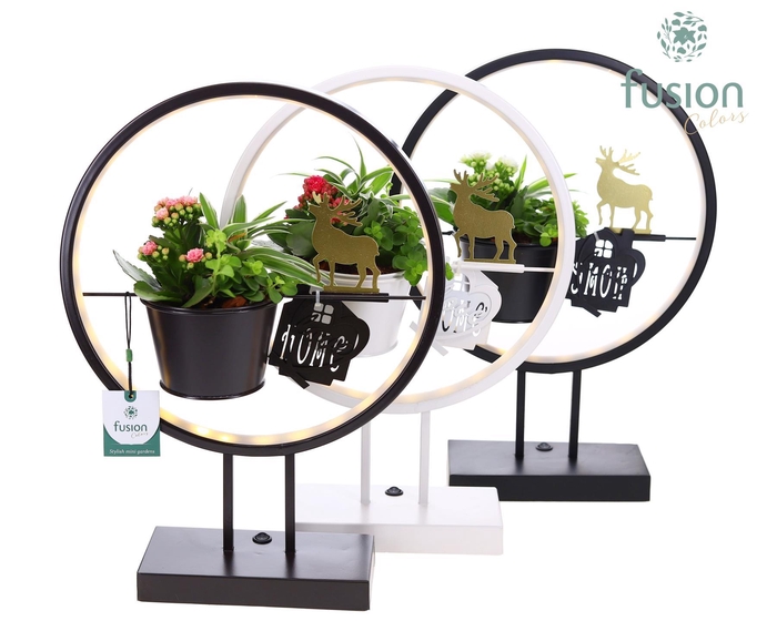 <h4>Metalen LED globe met rendier en Kerst Arrangement</h4>