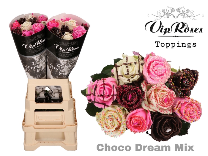 <h4>R Gr Vip Choco Dream Mix</h4>