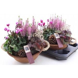 ARR TUINPLANTEN