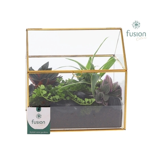 Glazen huis met arrangement