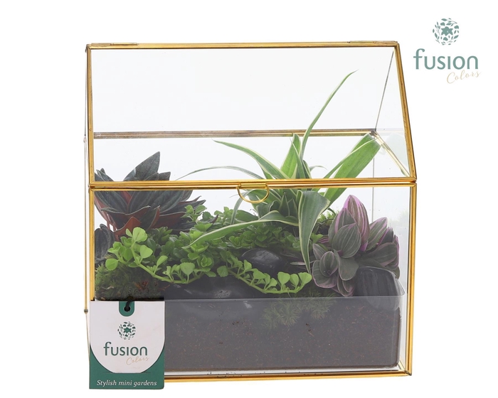 <h4>Glazen huis met arrangement</h4>