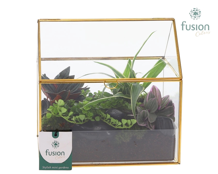 <h4>Glazen huis met arrangement</h4>