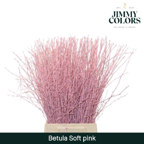 <h4>Betula L60 Soft Pink</h4>