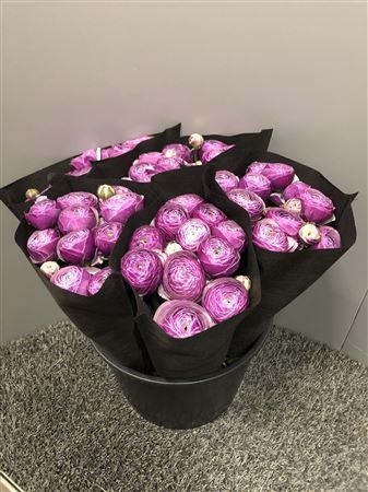 <h4>Ran Suc Nonno Antoine Sup</h4>